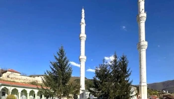 Chelopek 1227 Brvenica - Челопек