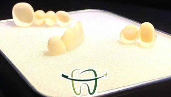 Dental Clinic 
