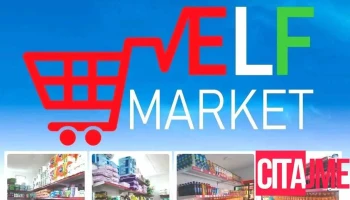 Elf-nl-market - Fsh.Sllatine