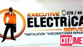 Executive electrical services - Тетово