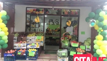 Fresh Green Fresko - Прилеп 7500