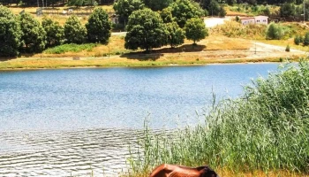 Horse Riding Club Krushevo - Крушево
