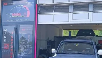 Mane Performance - Chiptuning - Тетово 1224