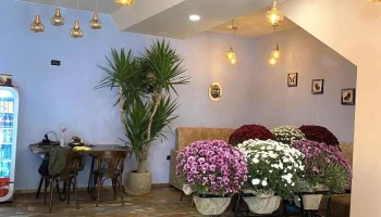Manti's Restaurant - Tetovo 1220