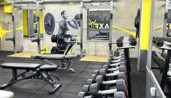Maxfit gym - Kumanovo 1300