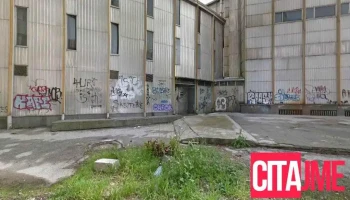 Pro Consilio - Скопје 1000