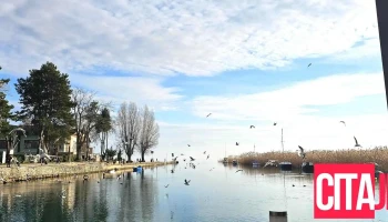 Real Estate Struga - Струга