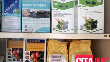 Деа-диа дооел - Богданци