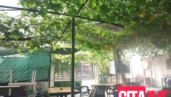 Кафана Коле ( Rakija and Salad Bar - Kole ) - Demir Kapija
