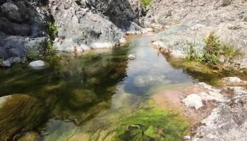 Општина Гевгелиjа - North Macedonia