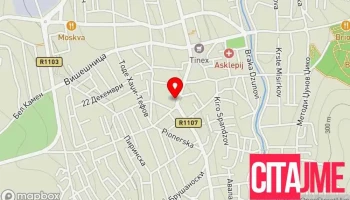 Пзу Аптека Камелија Кавадарци - Кавадарци