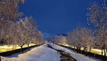 Пошта на Северна Македонија - Оризари - Оризари
