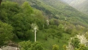 Првце - Првце