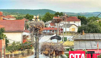 Стојаково - Стојаково