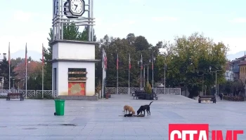 Струмица - Струмица