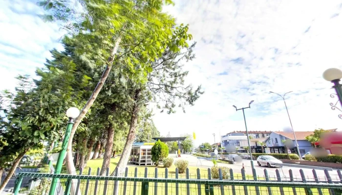 Aesthetic Dental World By Dr Angela Murdzeva Ulichen Prikaz I 360deg - Гевгелија