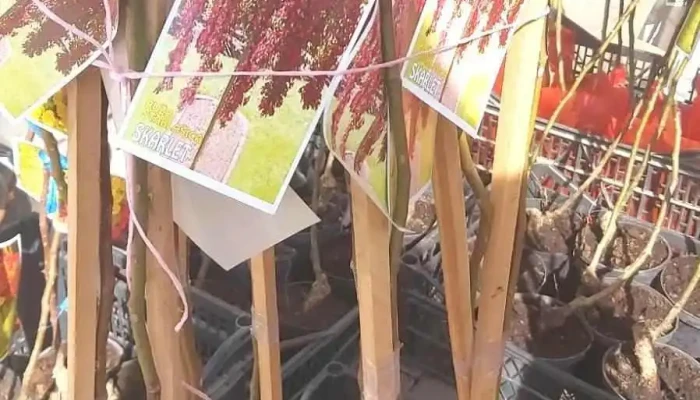 Agro Zastita -    Zemjodelska Apteka Od Sopstvenikot - Струмица