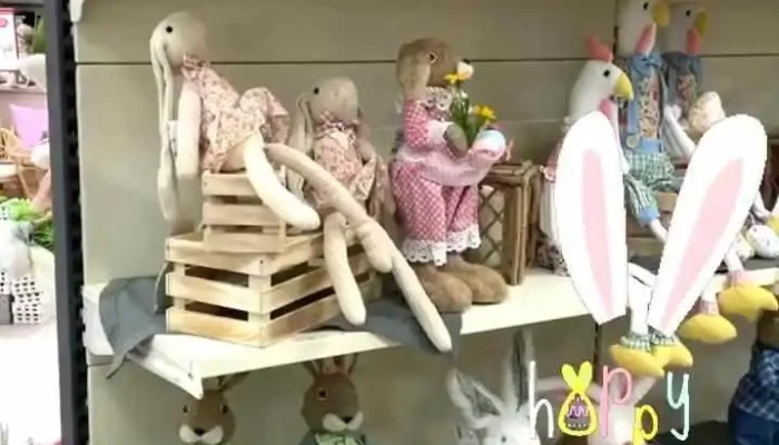Alfi Tekhnotsentar   Kumanovo Enterier - Куманово