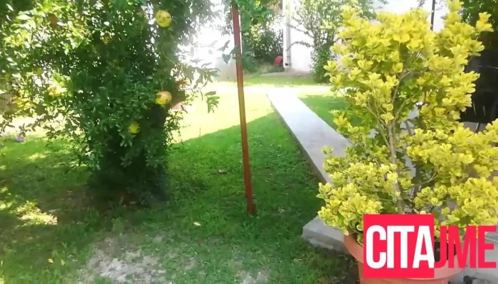 Apartments Pinikot Videa - Star Dojran