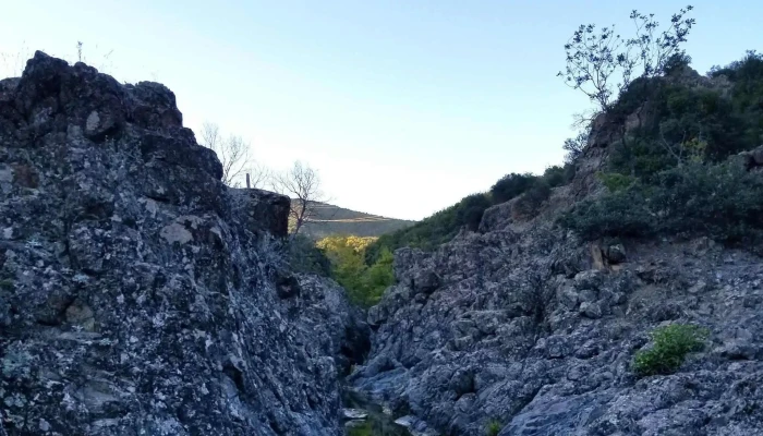 Bel Raj попусти - Габрово