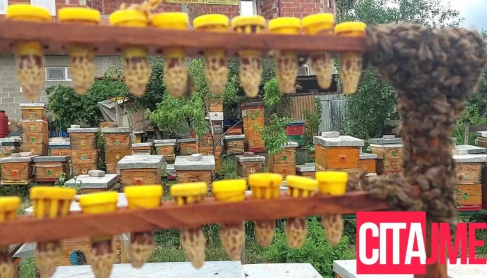 Bilna Apteka Dabeski -  Od Sopstvenikot - Гостивар