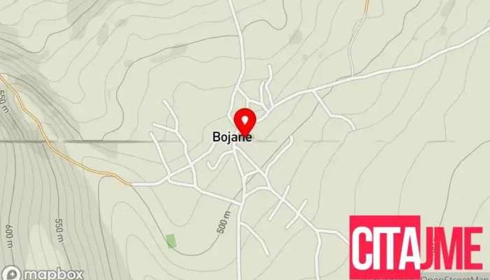 мапа на Бојане  во Бојане