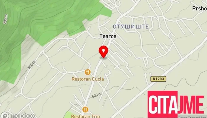 мапа на CED - Center for Education & Development Невладина организација во Теарце