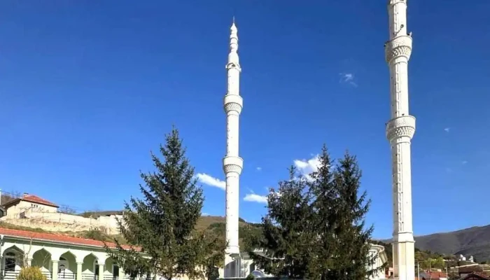 Chelopek 1227 Brvenica - Челопек