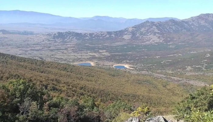 Desovo Sie - Десово