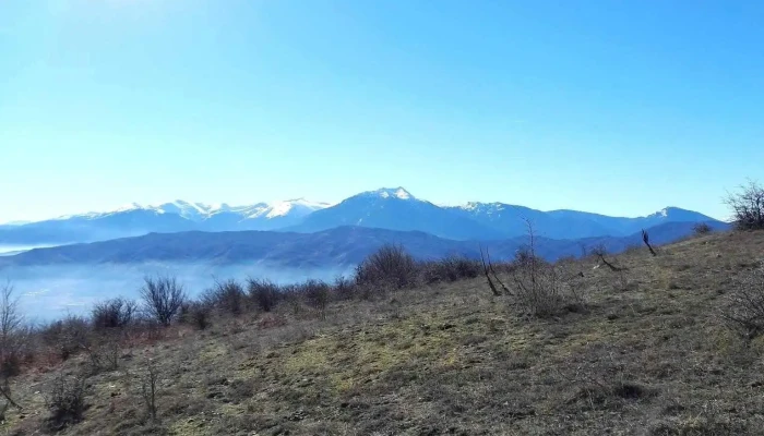 Dolno Srptsi Planina - Долно Српци