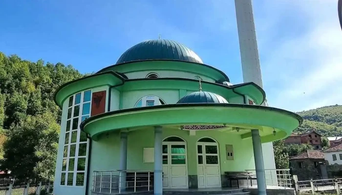 Dzhamija Srbinovo Kupola - Србиново