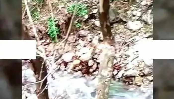 Gradsko Sobranie Na Opshtina Demir Kapija Videa - Демир Капија
