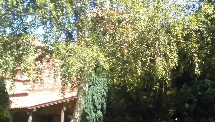 Gradsko Sobranie Na Opshtina Strumitsa цени - Струмица