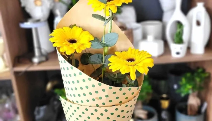Green Garden Centar Bitola -  Enterier - Битола