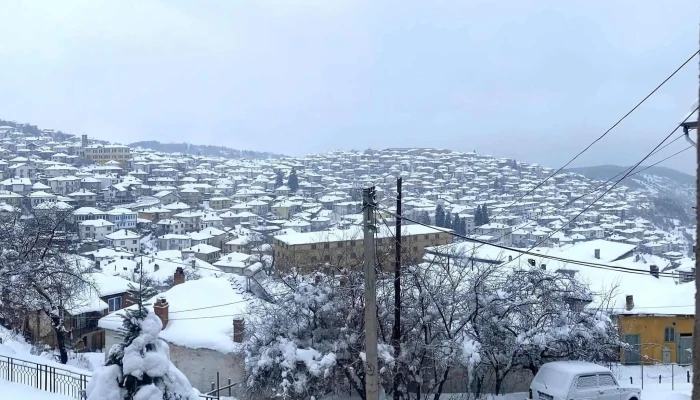 Konak Hilltop Lodge Villa веб страница - Крушево