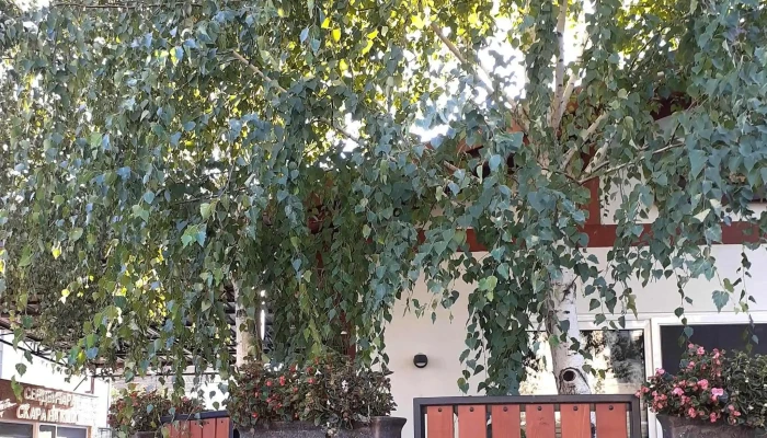 Market Domashno адреса - Гевгелија