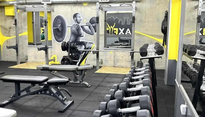 Maxfit gym - Kumanovo 1300