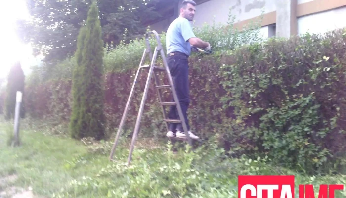 Molika Proizvodstvo Na Mebel Zdanie - Тетово