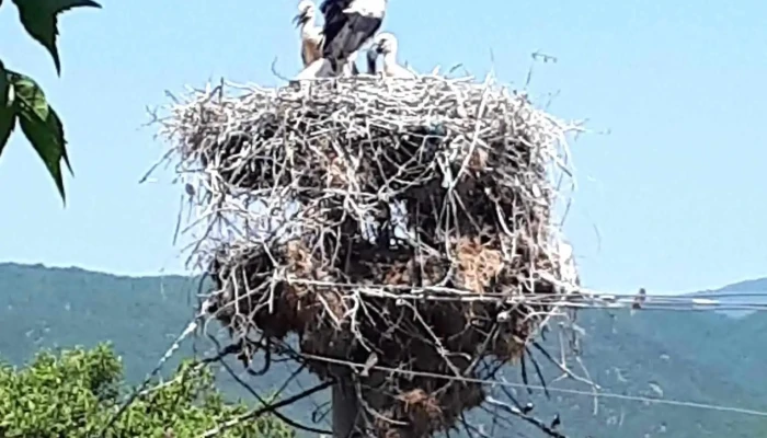Nov Dojran Sie - Нов Дојран