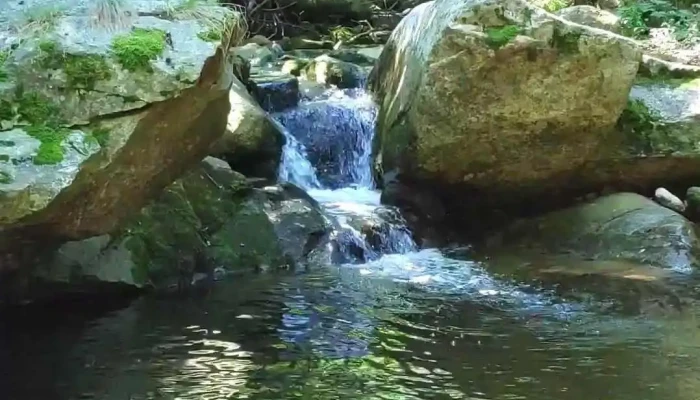 Opshtina Bitola Videa - North Macedonia