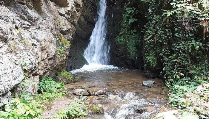 Opshtina Bogovinje Sie - North Macedonia