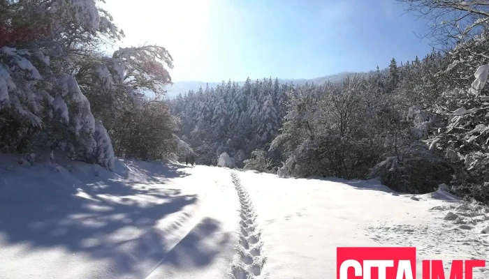 Opshtina Brvenitsa Planina - North Macedonia