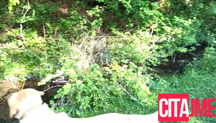 Opshtina Chucher Sandevo Videa - North Macedonia