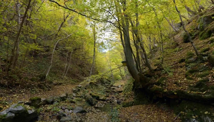 Opshtina Delchevo Ulichen Prikaz I 360deg - North Macedonia
