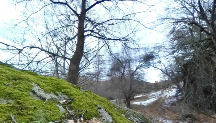 Opshtina Novatsi Ulichen Prikaz I 360deg - North Macedonia