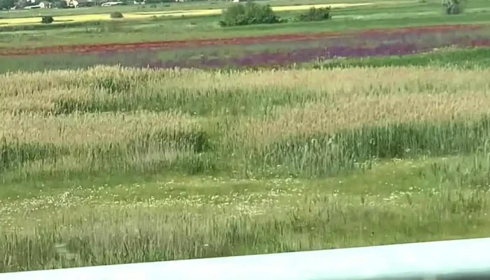 Opshtina Sveti Nikole Videa - Свети Николе