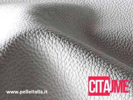 Pelleitalia Kozha - Скопје