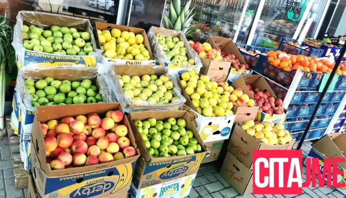 Piljara Grin Khaus   1 Od Sopstvenikot - Кавадарци