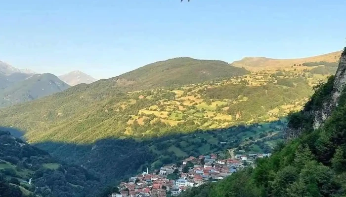 Recica E Vogel Sie - Тетово