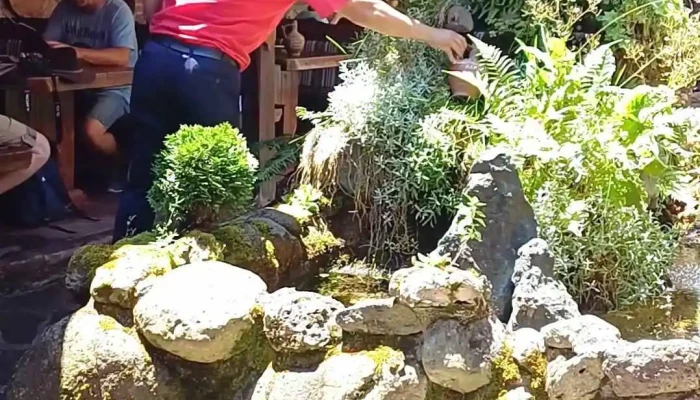 Restoran Domakjinska Kukja Vevchani Videa - Вевчани